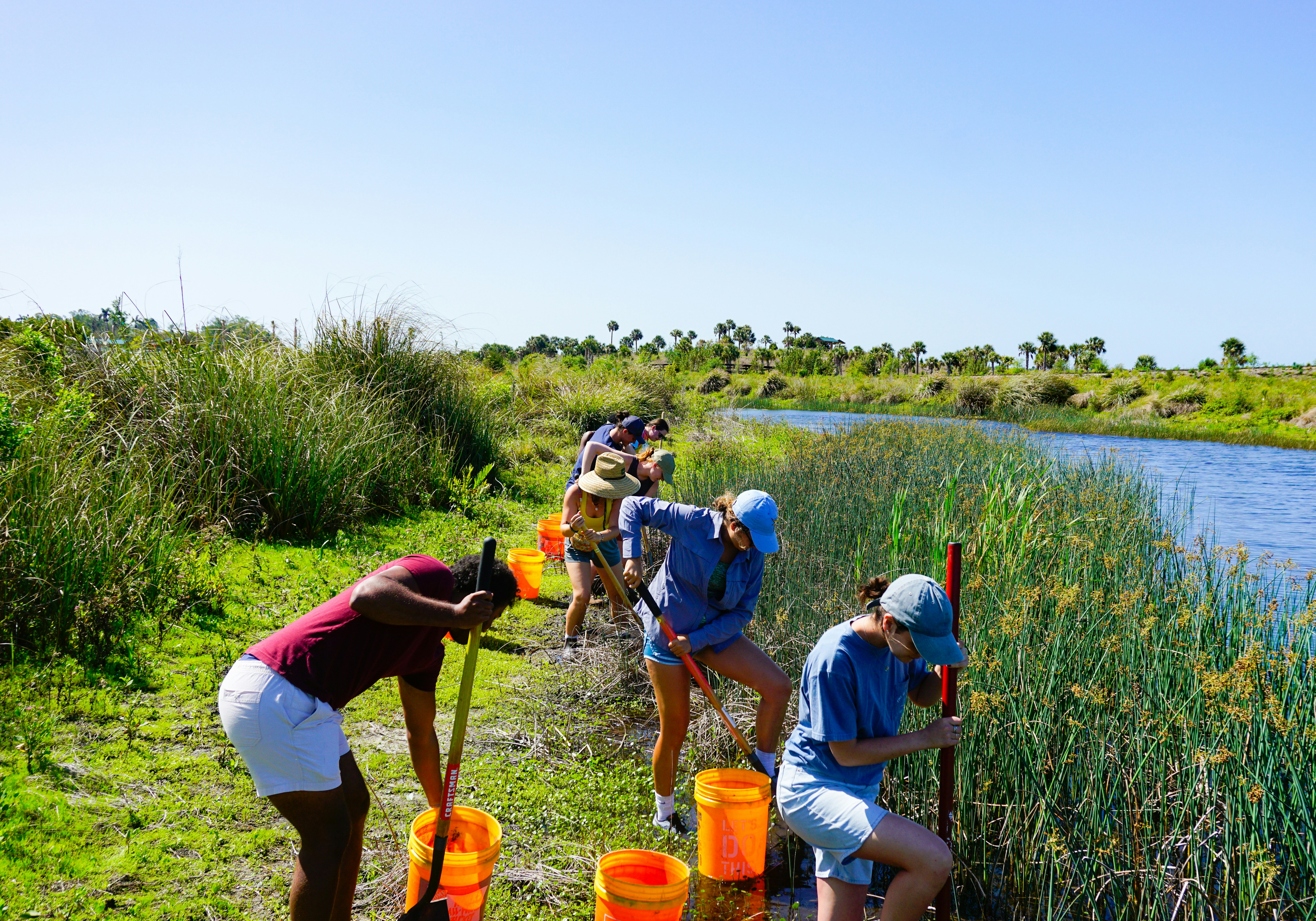 Volunteers restoring a riverbank together